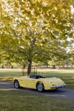 Bild 14/50 von Austin-Healey 3000 Mk I (BT7) (1960)