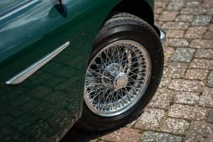 Bild 3/44 von Austin-Healey 3000 Mk III (BJ8) (1966)