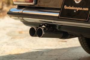Image 9/46 of Mercedes-Benz 250 CE (1970)