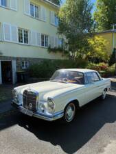 Bild 1/19 von Mercedes-Benz 250 SE (1965)