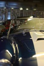 Image 19/57 of AC Cobra 427 (1965)