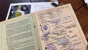 Bild 30/31 von Hoffmann DUMMY (1954)