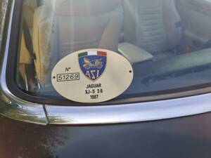 Image 11/40 of Jaguar XJ-S 3.6 (1987)