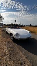 Afbeelding 13/19 van Alfa Romeo 1750 Spider (1969)