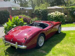 Bild 25/150 von Austin-Healey 100/4 (BN1) (1955)