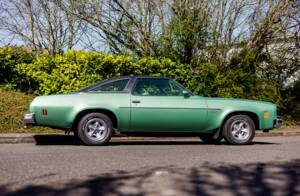 Imagen 12/50 de Chevrolet Chevelle Malibu Coupe (1974)