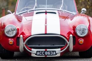 Afbeelding 34/50 van AC Cobra 289 (2000)