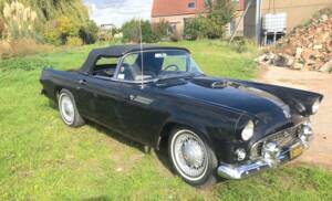 Bild 3/8 von Ford Thunderbird (1955)