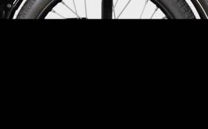 Immagine 42/64 di Riedel Motoren AG Imme R 100/D (1953)
