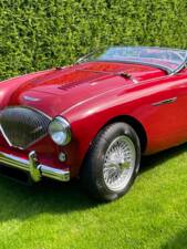 Bild 6/150 von Austin-Healey 100/4 (BN1) (1955)