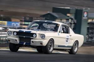 Afbeelding 4/48 van Ford Shelby GT 350 (1965)