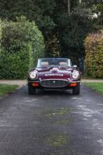 Bild 15/31 von Jaguar E-Type V12 (1974)