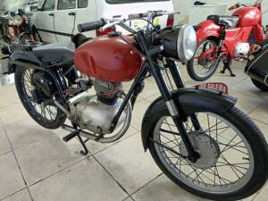Bild 17/23 von Gilera DUMMY (1952)