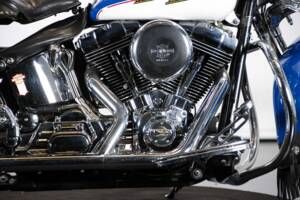 Immagine 37/50 di Harley-Davidson FXSTS Softail Springer (2000)