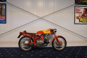 Image 3/27 of Aermacchi Ala Verde (1962)