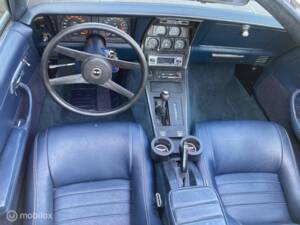 Afbeelding 38/50 van Chevrolet Corvette Sting Ray (1979)
