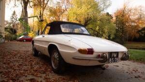 Image 8/50 de Alfa Romeo 1600 Spider Duetto (1967)