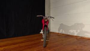 Image 2/17 of HMW 75 LM "Wiesel" (1900)