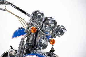 Immagine 41/50 di Harley-Davidson FXSTS Softail Springer (2000)