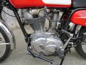 Immagine 4/46 di Ducati 350 Mark 3 D (1969)