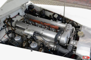 Image 20/24 of Jaguar XK 120 SE OTS (1954)