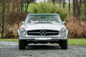 Image 6/35 of Mercedes-Benz 280 SL (1969)