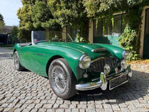 Image 14/37 de Austin-Healey 100/6 (BN6) (1958)