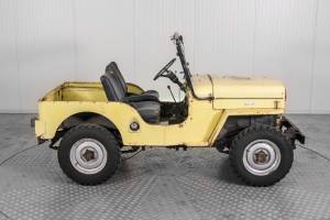 Bild 27/50 von Willys CJ-3B (1955)