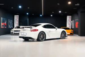 Afbeelding 14/36 van Porsche Cayman GT4 (2016)