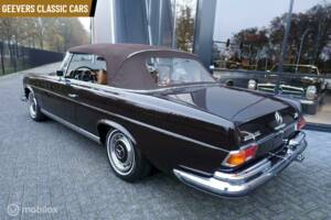 Image 9/14 of Mercedes-Benz 280 SE 3,5 (1970)
