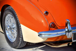 Bild 36/40 von Austin-Healey 3000 Mk I (BN7) (1959)