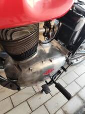 Bild 28/50 von Gilera 150 Sport (1952)