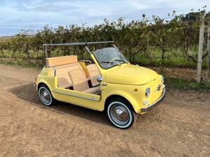 Bild 7/80 von FIAT Ghia 500 Jolly (1972)