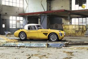 Bild 1/52 von Austin-Healey 3000 Mk I (BN7) (1959)