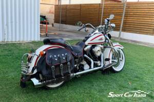 Immagine 46/50 di Harley-Davidson FLSTS 1340 Heritage Springer (1998)