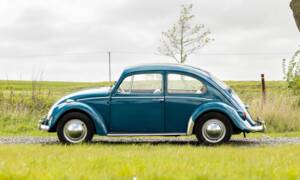 Bild 2/40 von Volkswagen Käfer 1300 (1965)