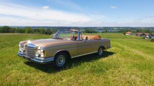 Image 26/38 of Mercedes-Benz 280 SE 3,5 (1969)