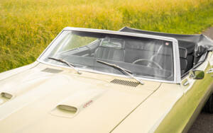 Bild 17/49 von Pontiac Firebird 400 Convertible (1968)