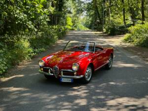 Afbeelding 6/100 van Alfa Romeo Giulietta Spider (1957)
