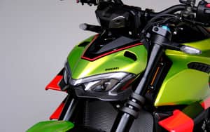 Bild 45/99 von Ducati Streetfighter V4 Lamborghini (2024)