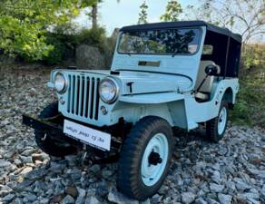 Afbeelding 1/28 van Willys-Overland CJ-3A (1954)