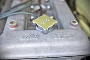 Image 24/49 of Alfa Romeo Giulia 1600 Spider (1964)