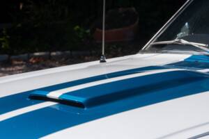 Bild 21/50 von Ford Shelby GT 350 (1965)