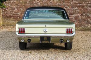 Obraz 40/50 pojazdu Ford Mustang GT (1966)
