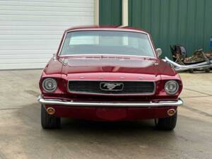 Bild 14/47 von Ford Shelby GT 350 (1966)