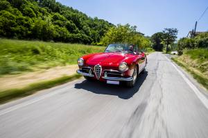 Image 46/46 of Alfa Romeo Giulietta Spider Veloce (1956)