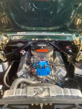 Bild 9/16 von Ford Mustang 302 (1967)