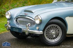 Immagine 9/44 di Austin-Healey 3000 Mk II (BN7) (1962)