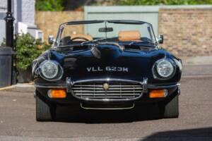 Bild 6/50 von Jaguar E-Type V12 (1973)