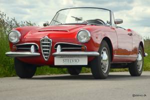 Bild 3/21 von Alfa Romeo Giulia 1600 Spider (1964)
